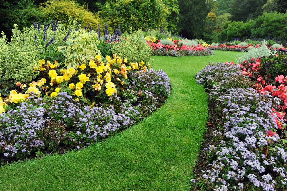jardin 1 trabajo de jardineria 1