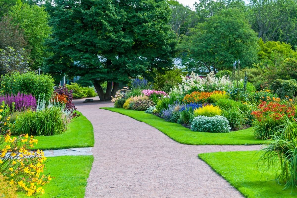 jardin 2 trabajo de jardineria 2 Bizkaia - Vizcaya