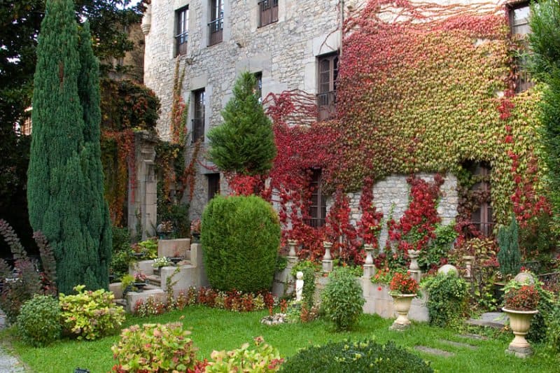 jardin 5 trabajo de jardineria 5 Bizkaia - Vizcaya